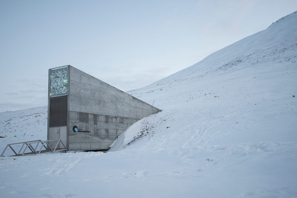 Musik ska sparas på Svalbard.